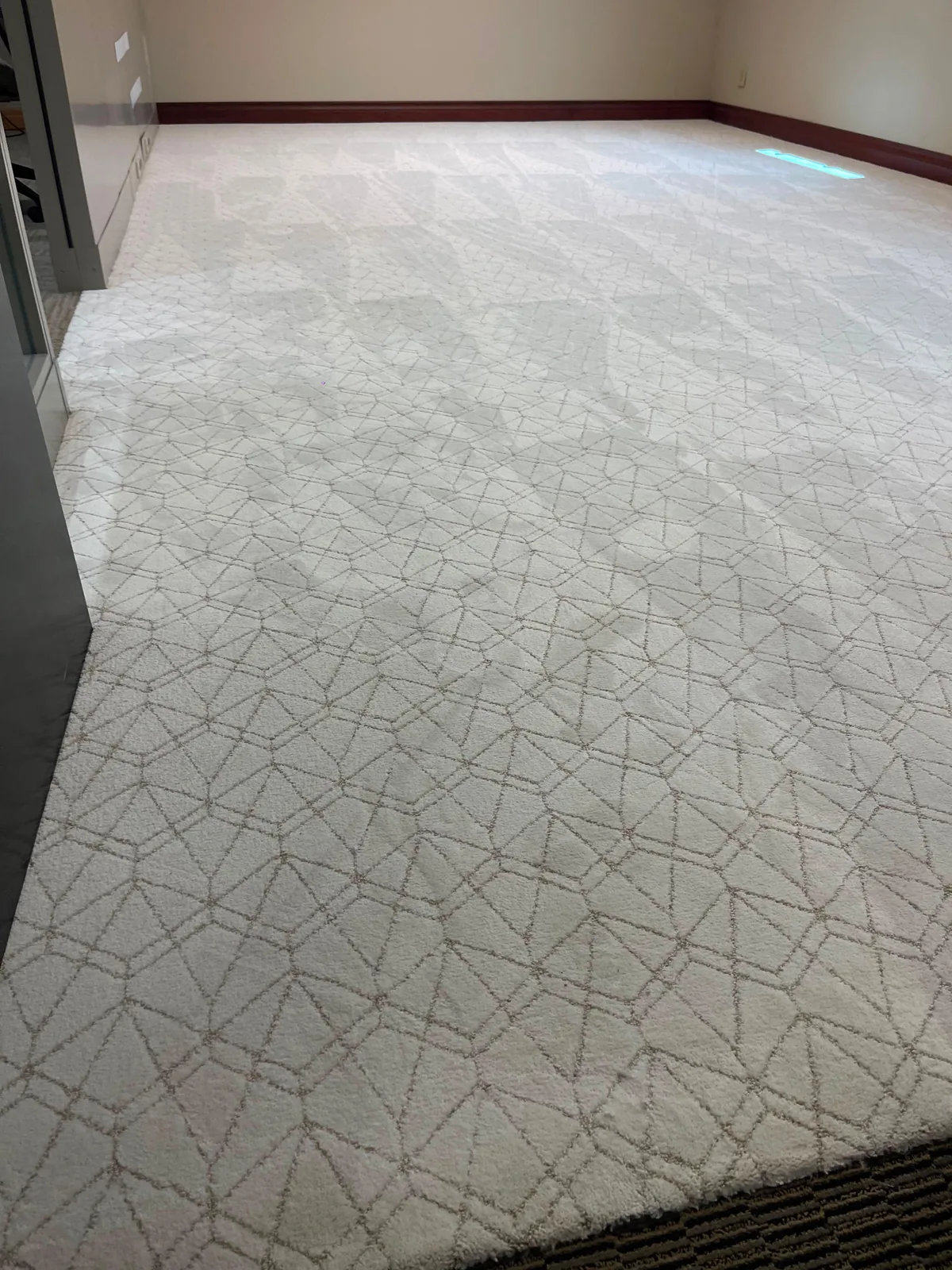 Patterned commercial carpet meeting a hard floor transition